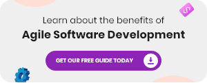Software Solutions for Business