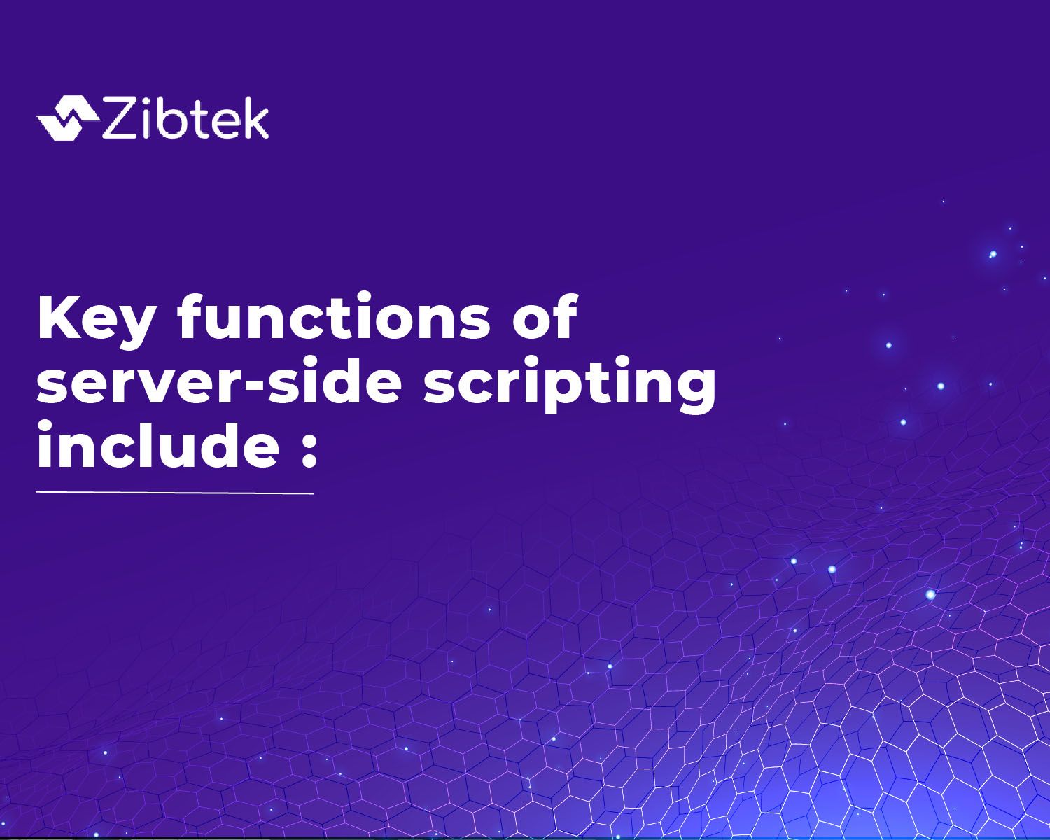 Server Side Script Language