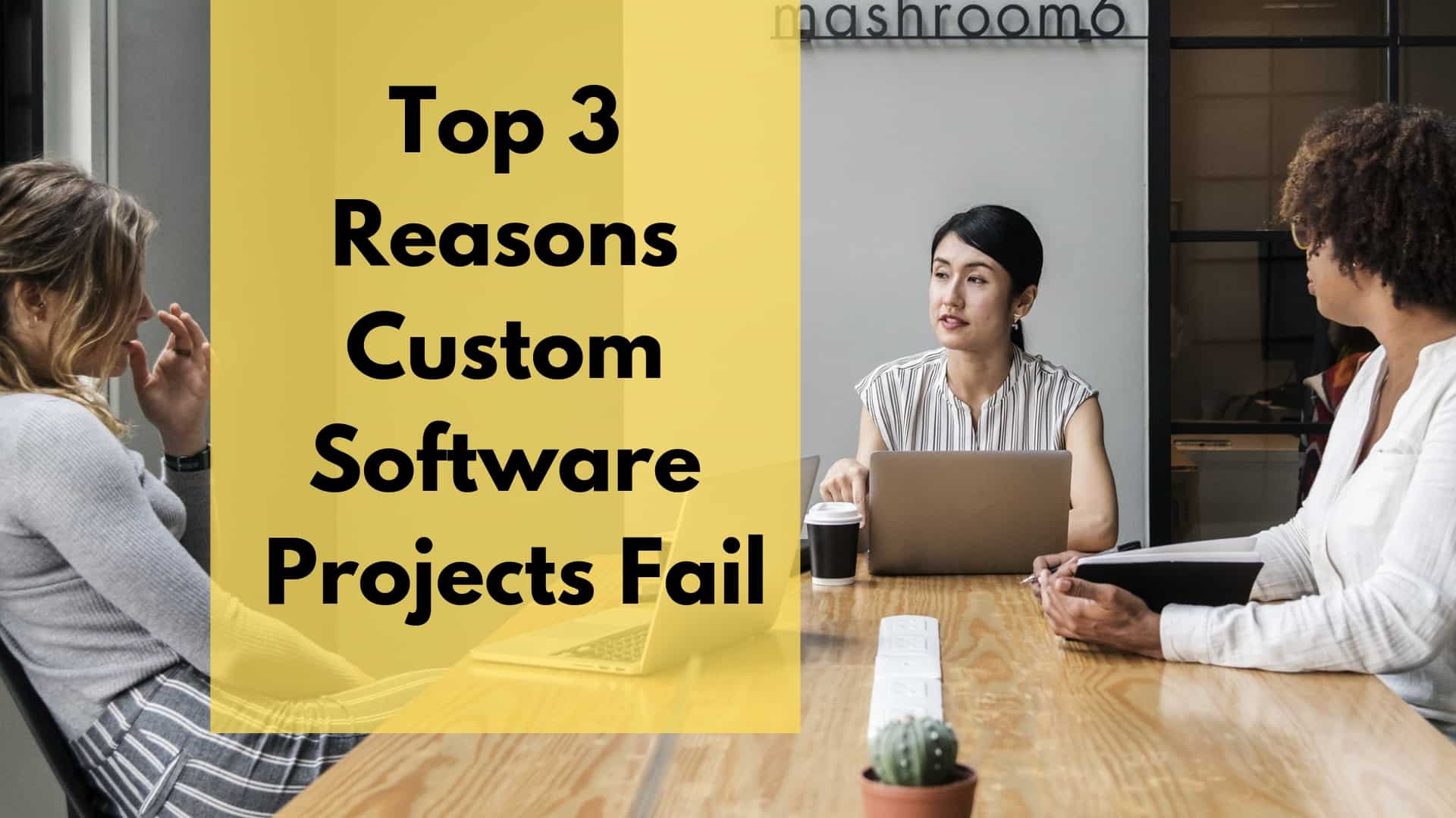 Top 3 Reasons Custom Software Projects Fail