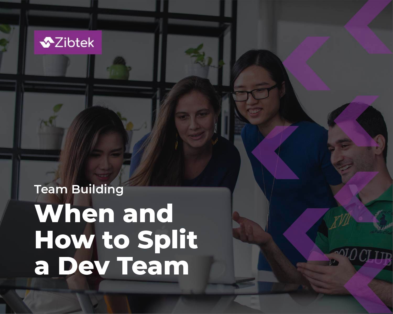 When and How to Split a Scrum Dev Team