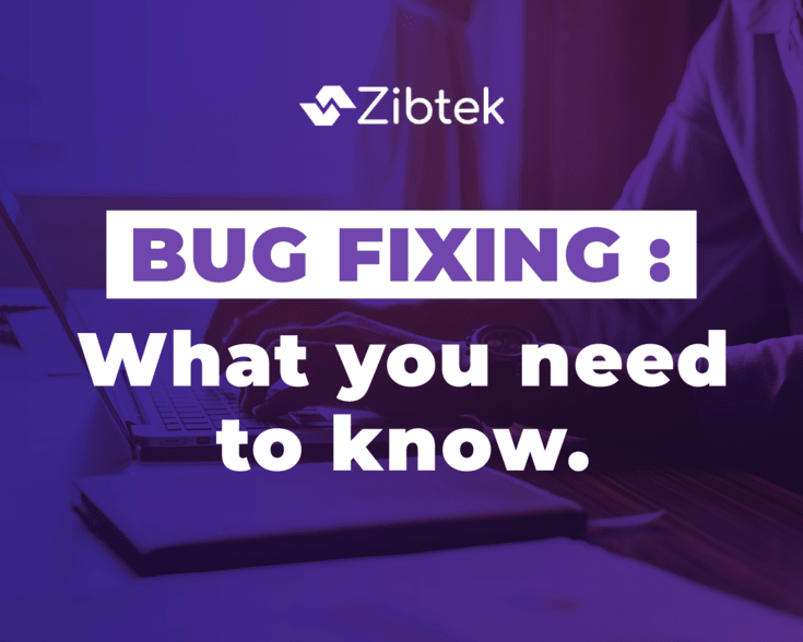 Bug Fixing: What you need to know.