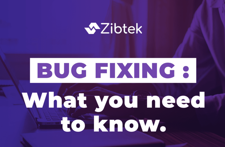 Bug Fixing: What you need to know.