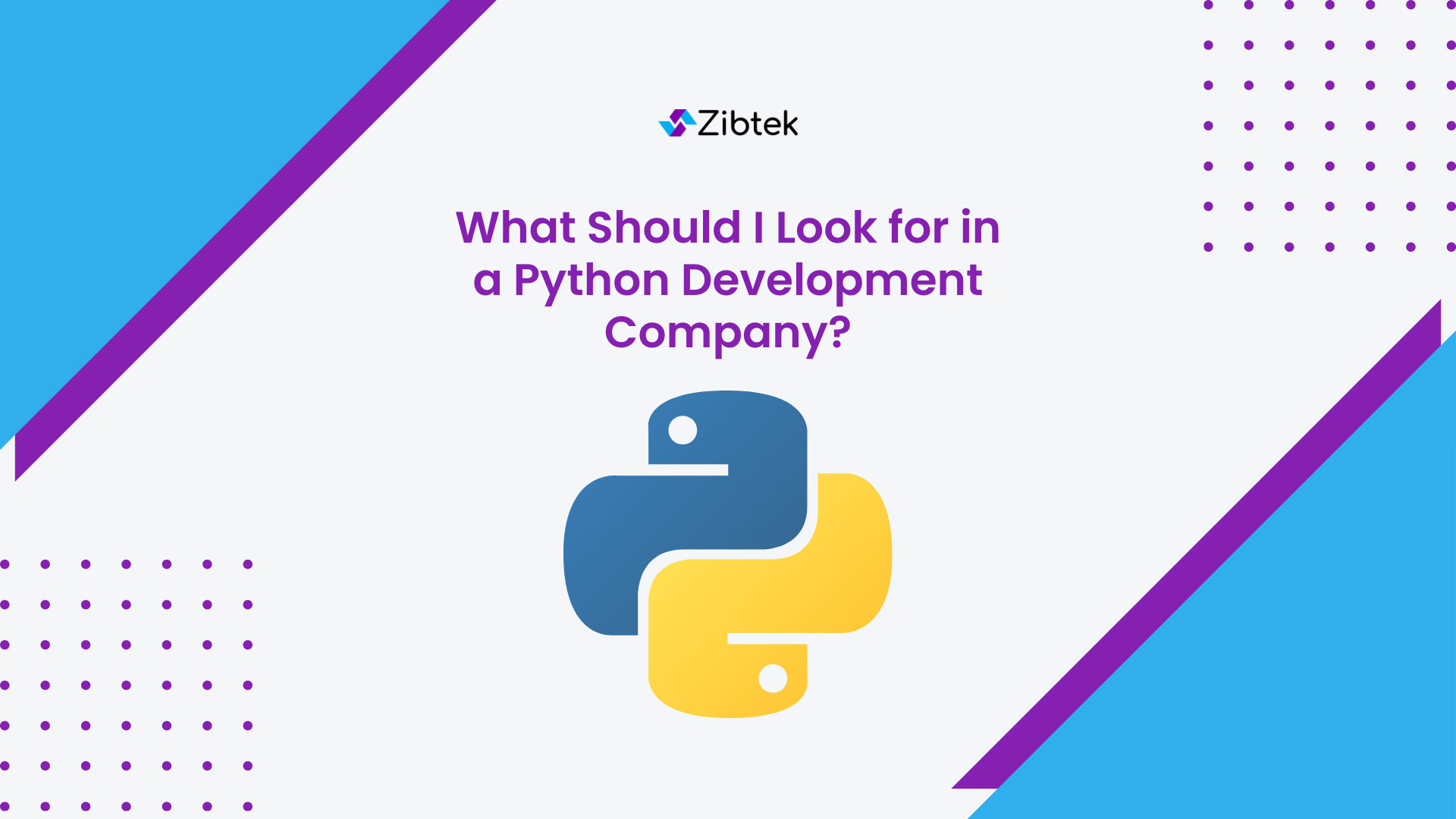 What Should I Look for in a Python Development Company?