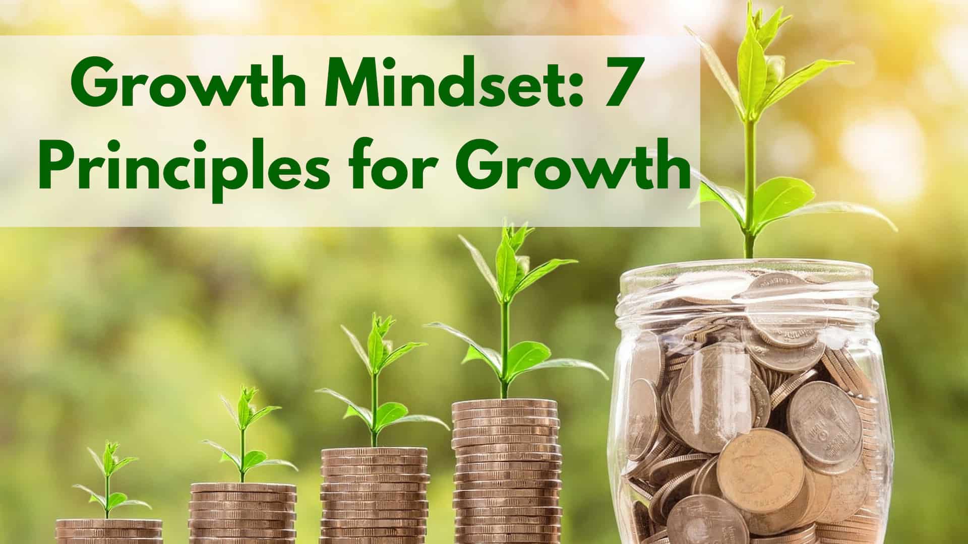 Growth Mindset: 7 Principles For Growth