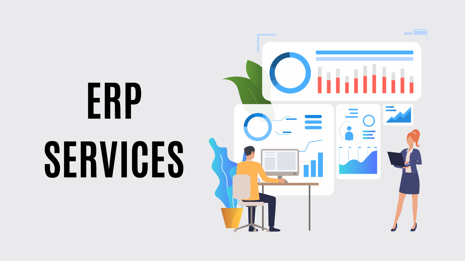 ERP Services