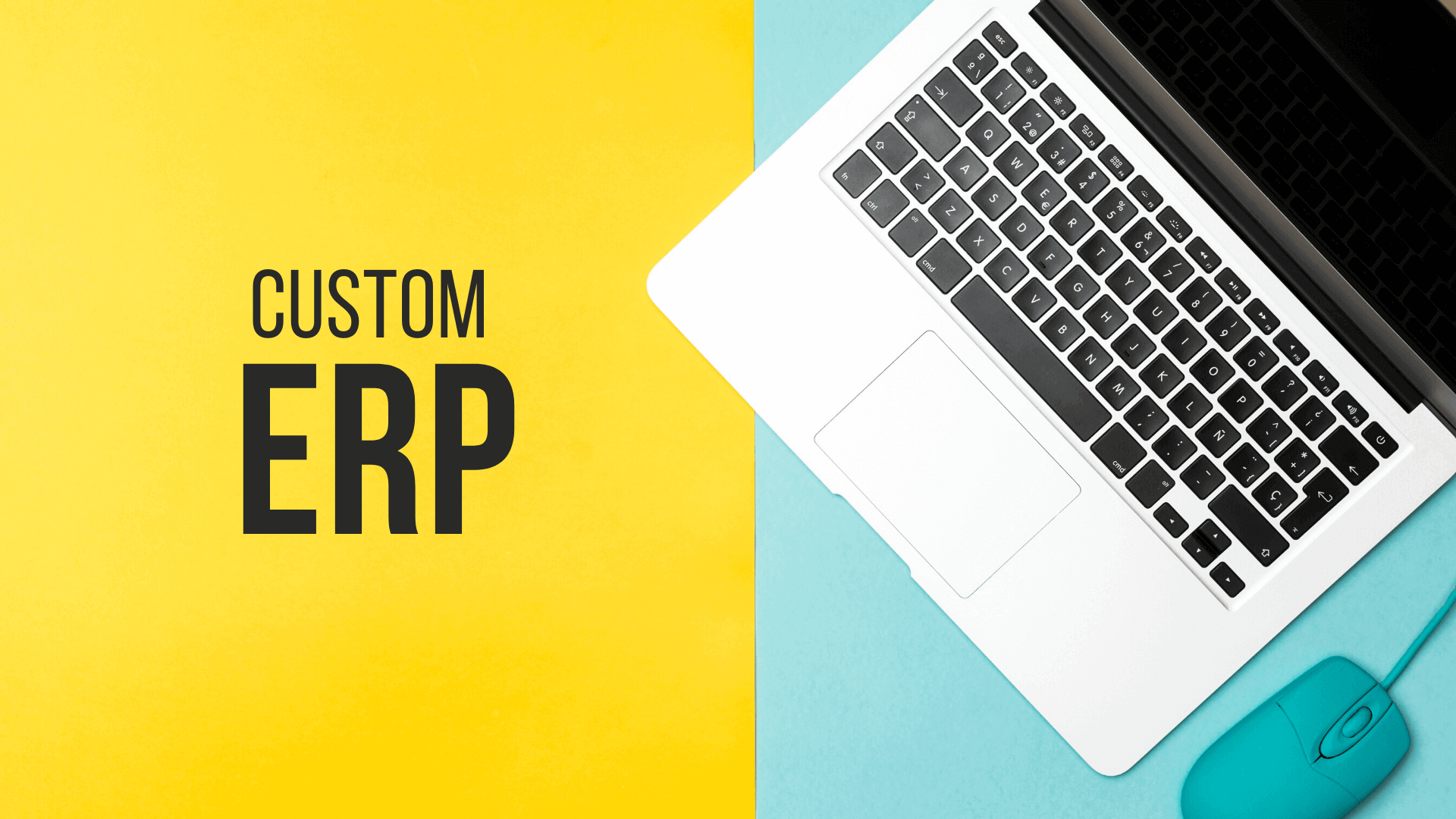 Custom ERP