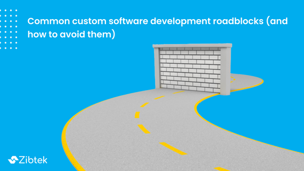 Common custom software development roadblock (and how to avoid them)